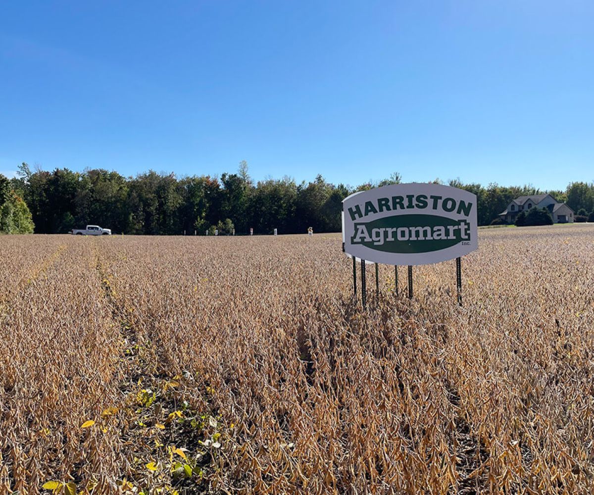 Harriston Agromart sign and pasture with blue skies in the background