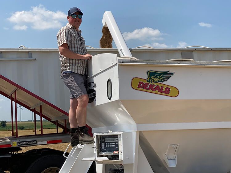 Harriston employee working on agricultural machine harvesting seed