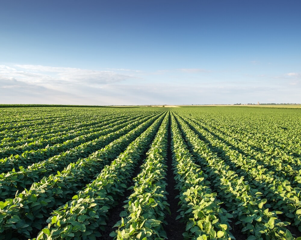 Harriston Agromart team photo inside