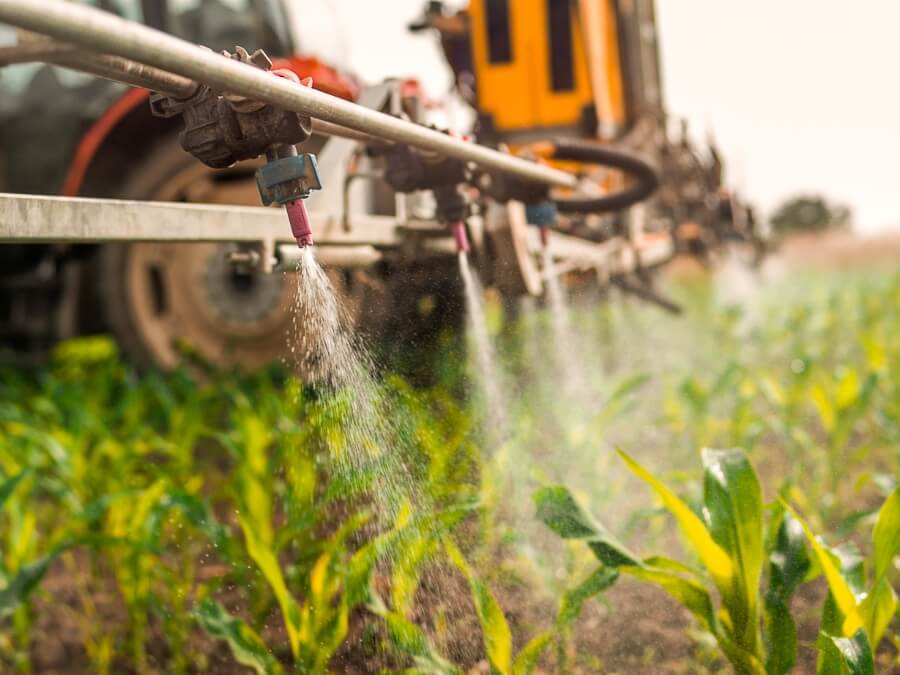 Agricultural machine spraying on crop