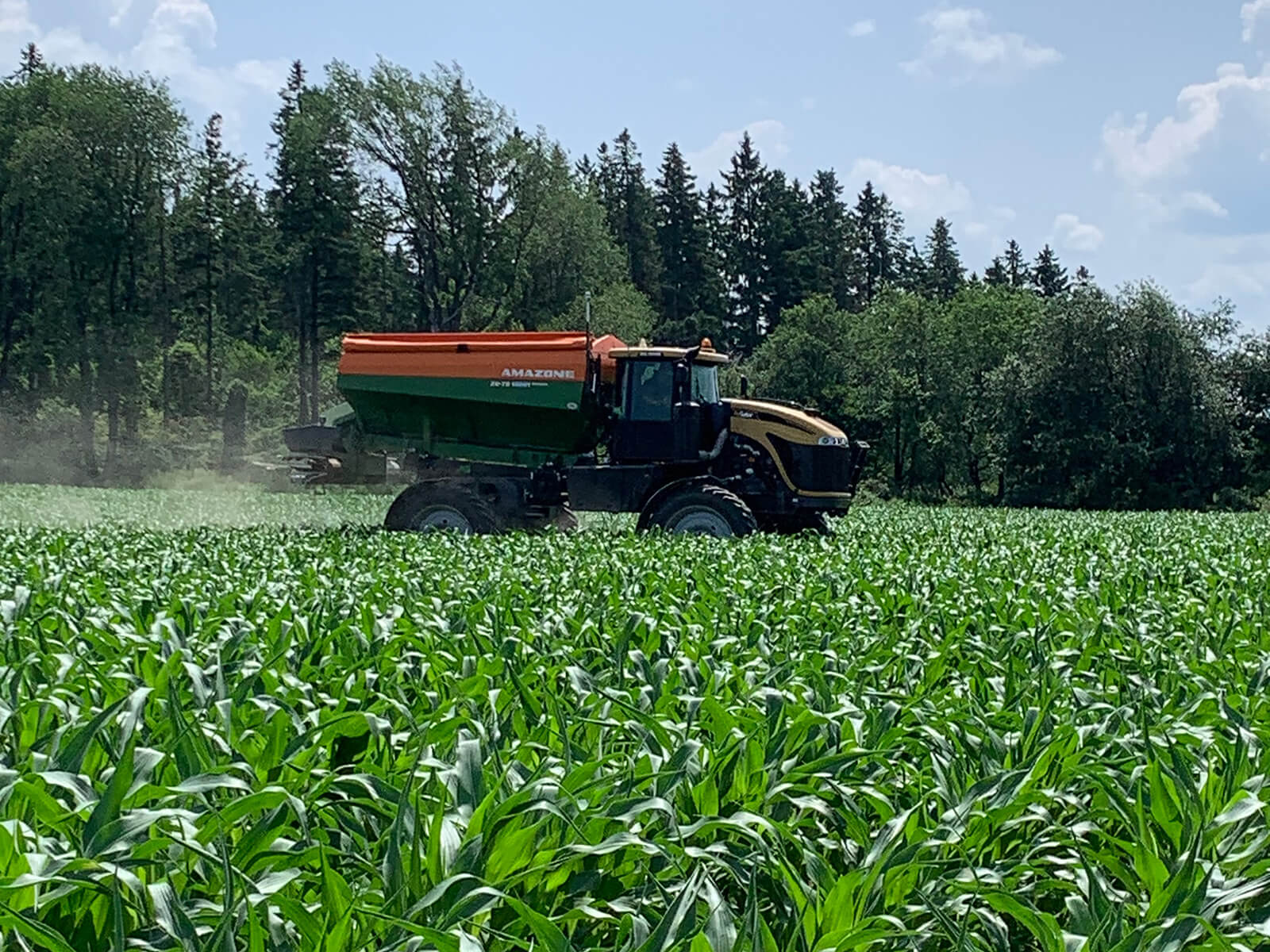Harriston Agromart truck by machine harvesting seed with blue skies in the background